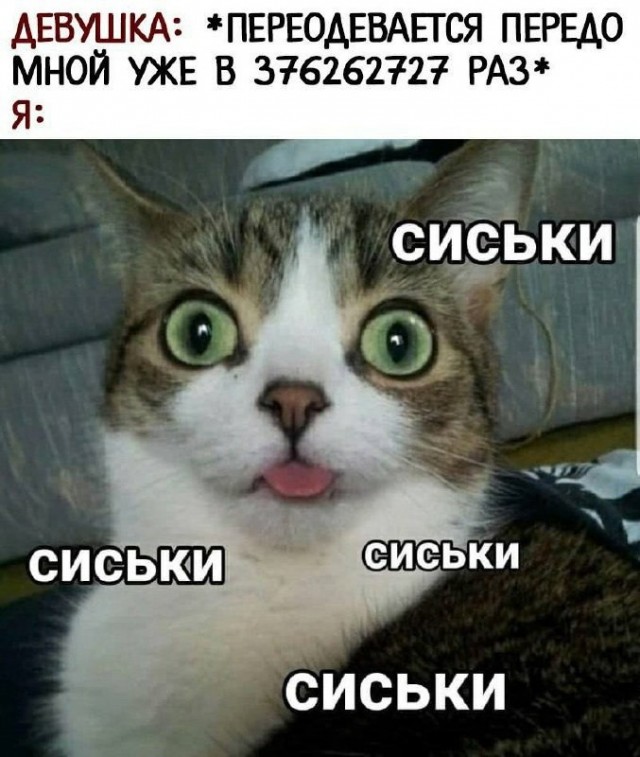 30 пошло-дегракартинок