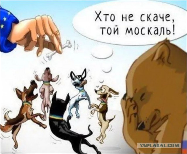 Мобилизация в Закарпатье