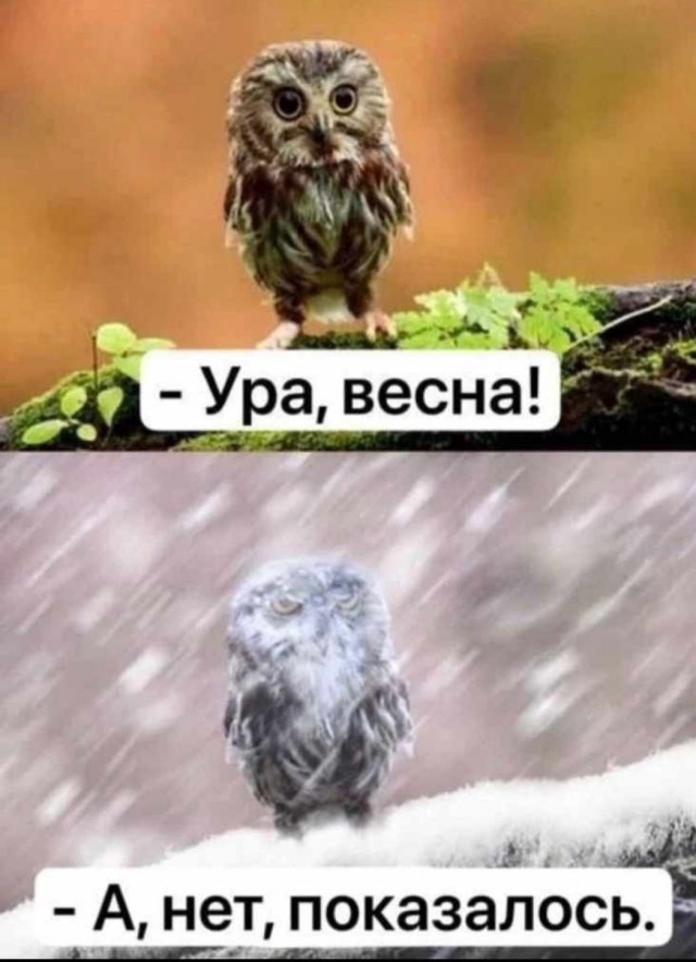 О погоде в Питере