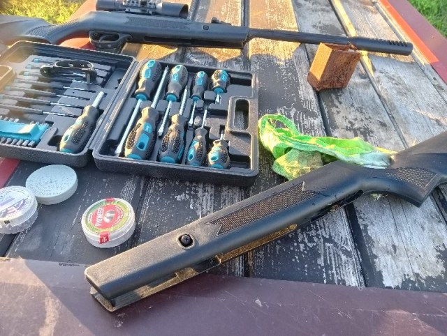 Конкурс «Космические грибы». Читаем рассказы и стихи