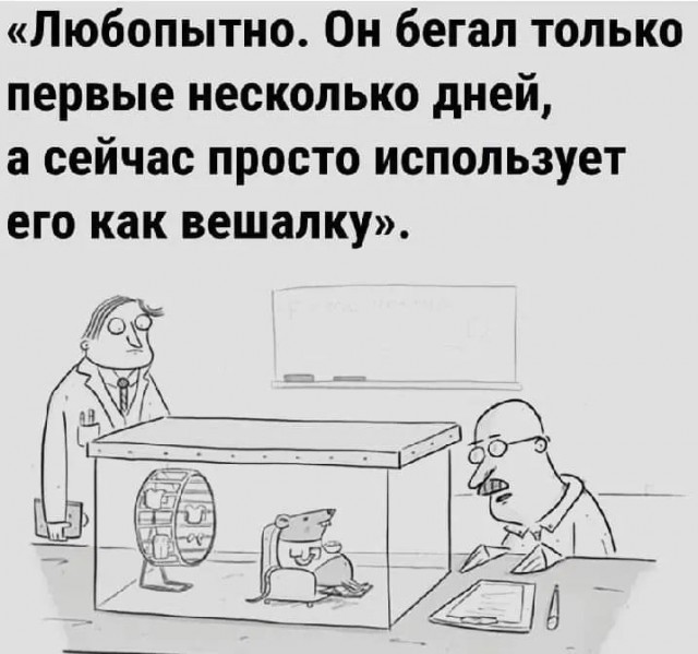 Завалялось тут случайно немного забавных картинок