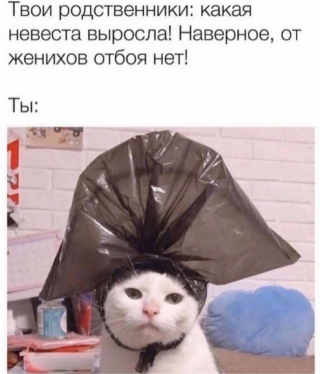 Юмор в картинках и без