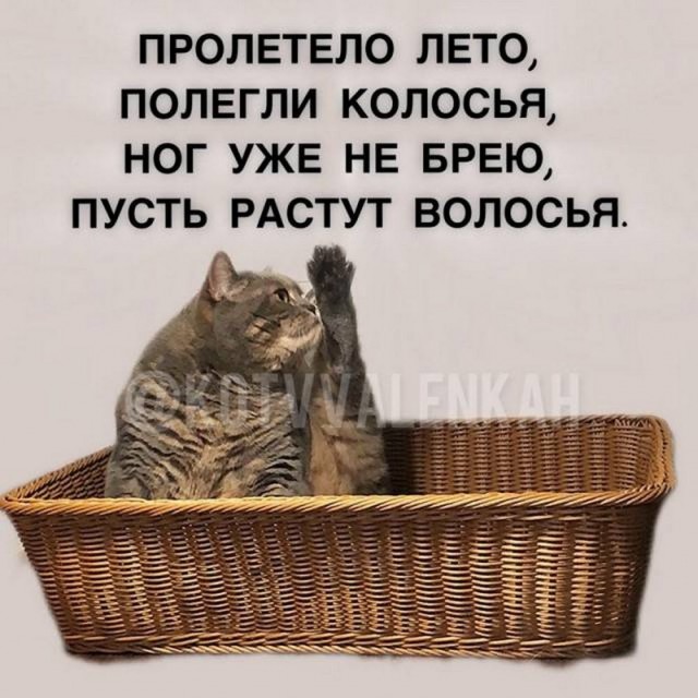Картинки разные с надписями и без
