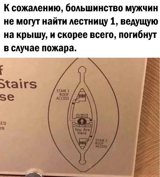 Так себе картинки 07.11.24