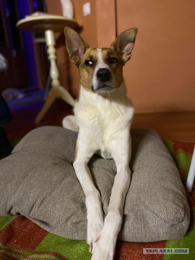 Беларус Ричард