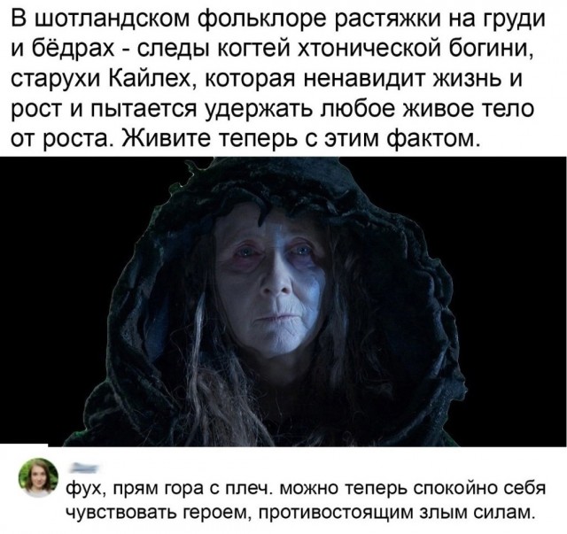 Весёлый полтишок 06.12.24