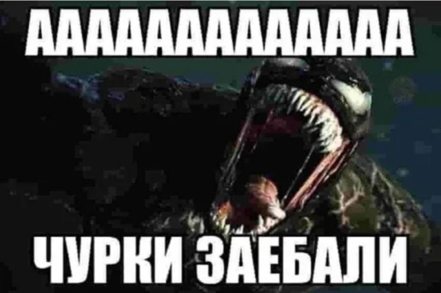 СК опубликовал статистику преступлений совершенных мигрантами в 2024 году