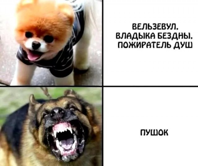 Завалялось тут случайно немного забавных картинок