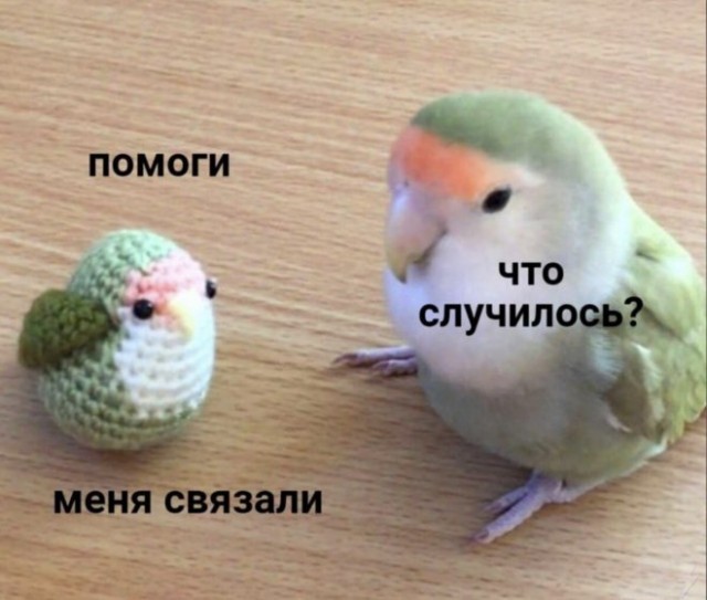 Веселые картинки в маленькую пятницу 23.04