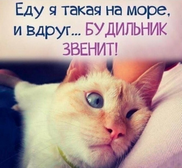 Картинки ниапчём и обо всём-2