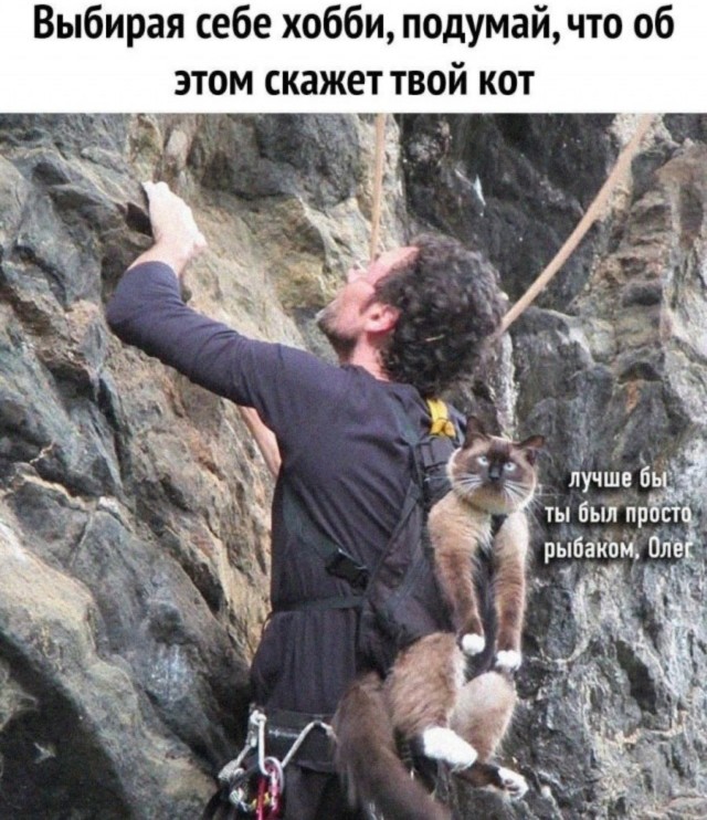 Юмор за день