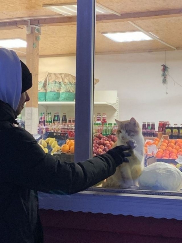 Прикольные и просто красивые картинки