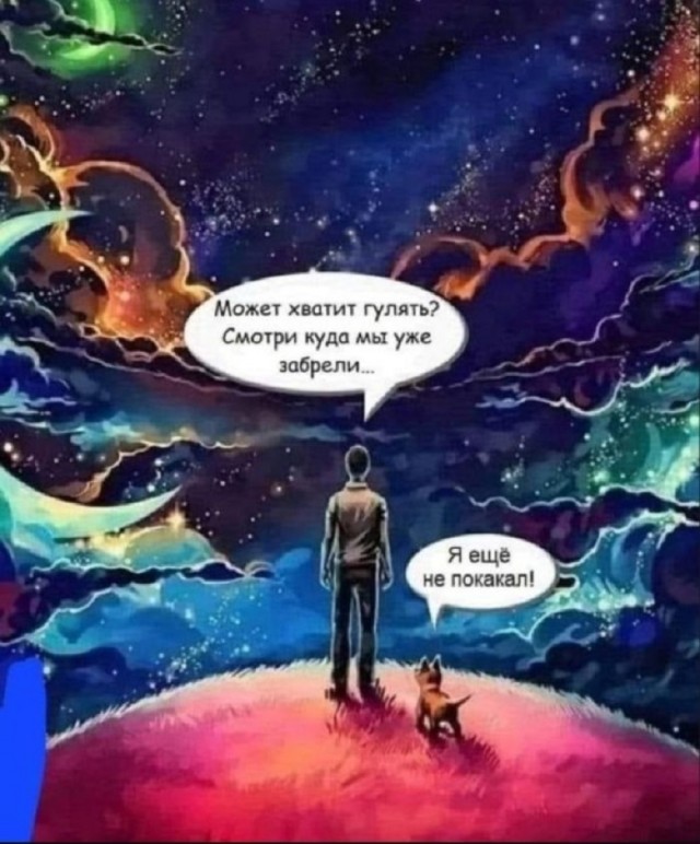 Так себе картинки 25.07.25