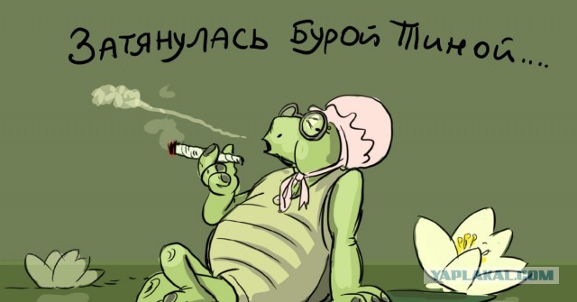 Дуремар уже не тот...