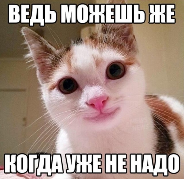 Нуштош. Познание как то, чего следует остерегаться во избежание нервного срыва (s5e6)