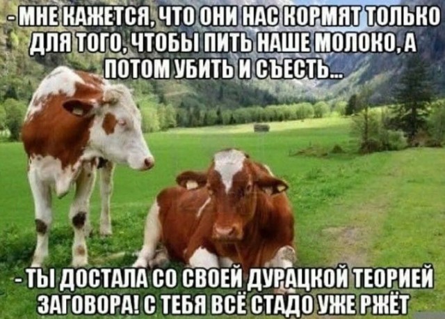 Более половины россиян верят хотя бы в одну теорию заговора