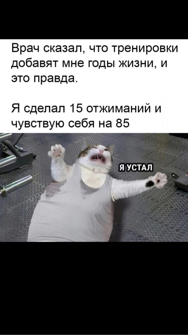 Деградация
