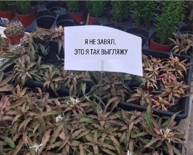 Так себе картинки 20.07.26