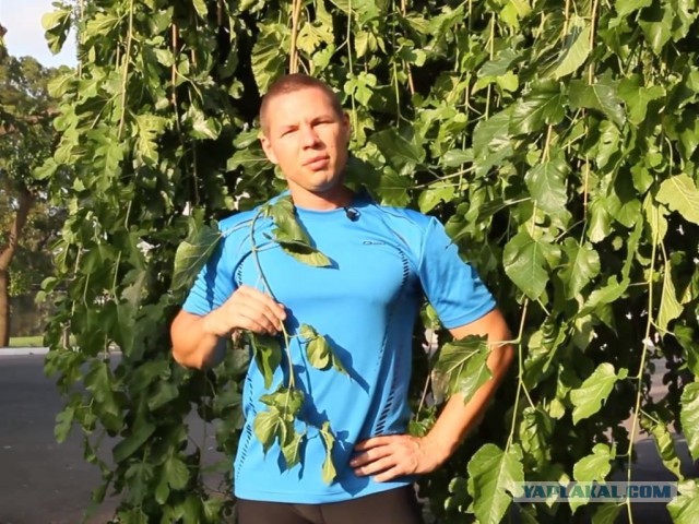 Как привести себя в форму без тренажерного зала.