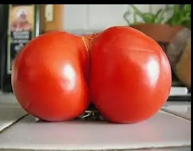 Пятничные жопки