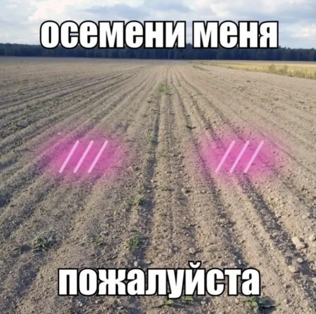 Контент для невзыскательной аудитории