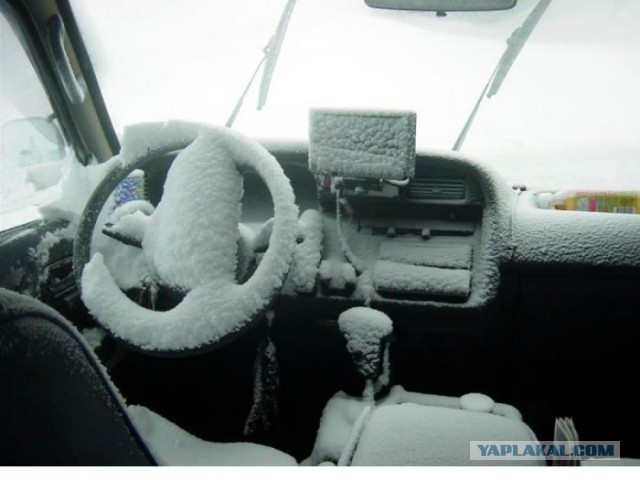 Весёлые картинки. Разбавим будни