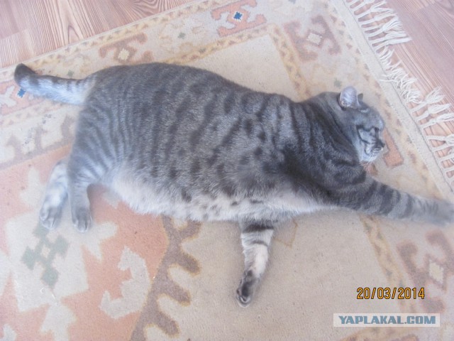 Наш малыш