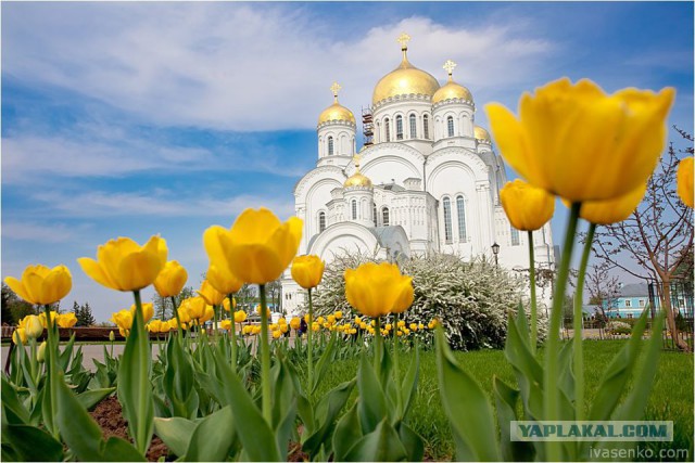 Красавец Нижний Новгород