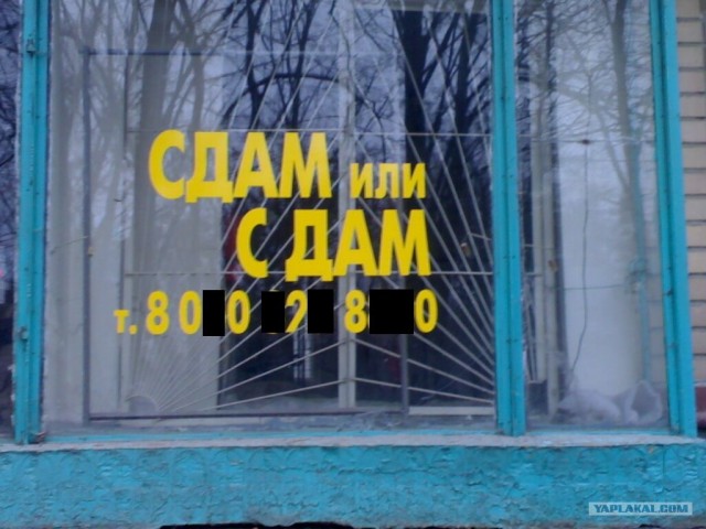 Специально не придумаешь!