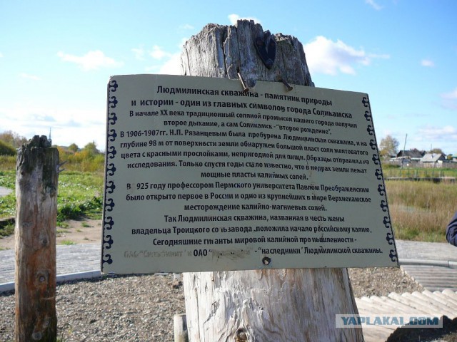 Соль