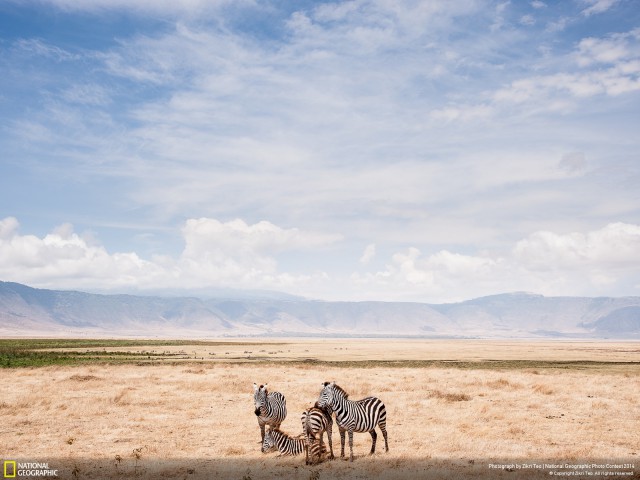 Фото года по версии NatGeo