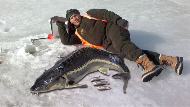 Скромный улов