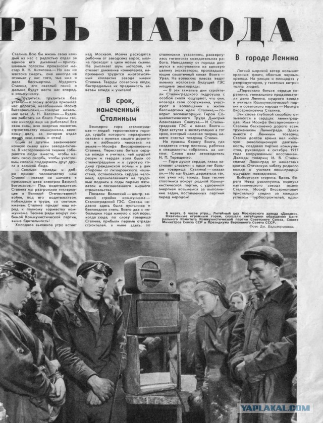 Разбирали антресоли у тёти,