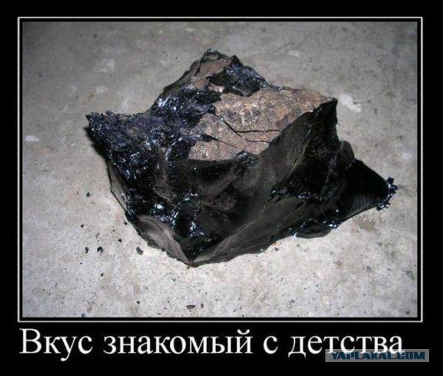 Веселости которые встретились сегодня