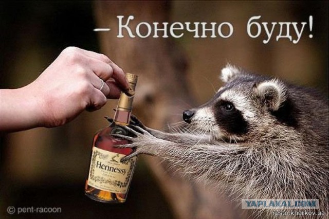 Как я бухал и добухался