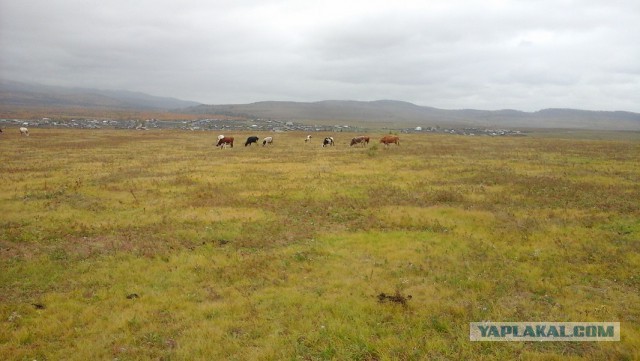 Правильной пятницы псто