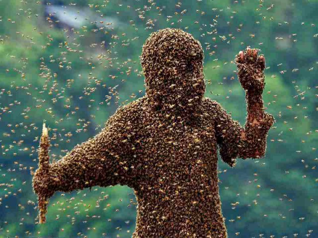 Это не сирийские беженцы — это «сладкий корабль»
