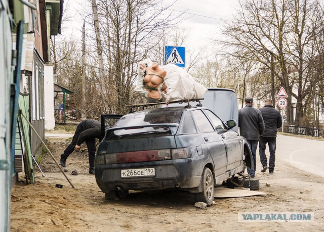 Весёлые картинки