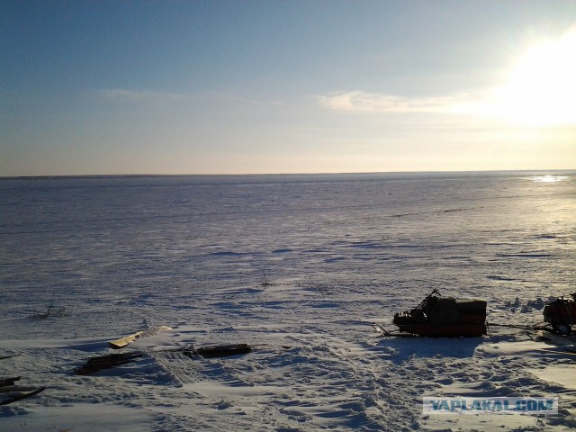 Всю рыбу распугал!