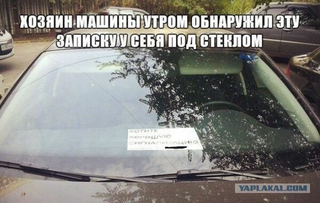 Подборка красивых и веселых картинок