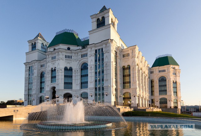 Подборка интересных и веселых фото