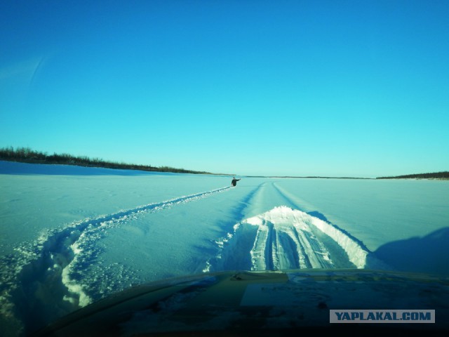 Легковушка на мысе Челюскина
