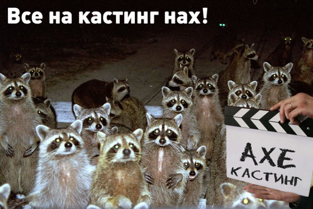 Фотожаба: Съемочная площадка