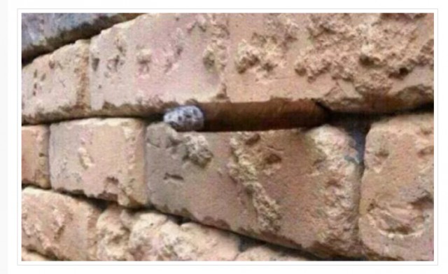 Картинки из инета