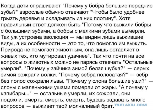 Забавные комментарии, шутки и фразы из этих ваших интернетов