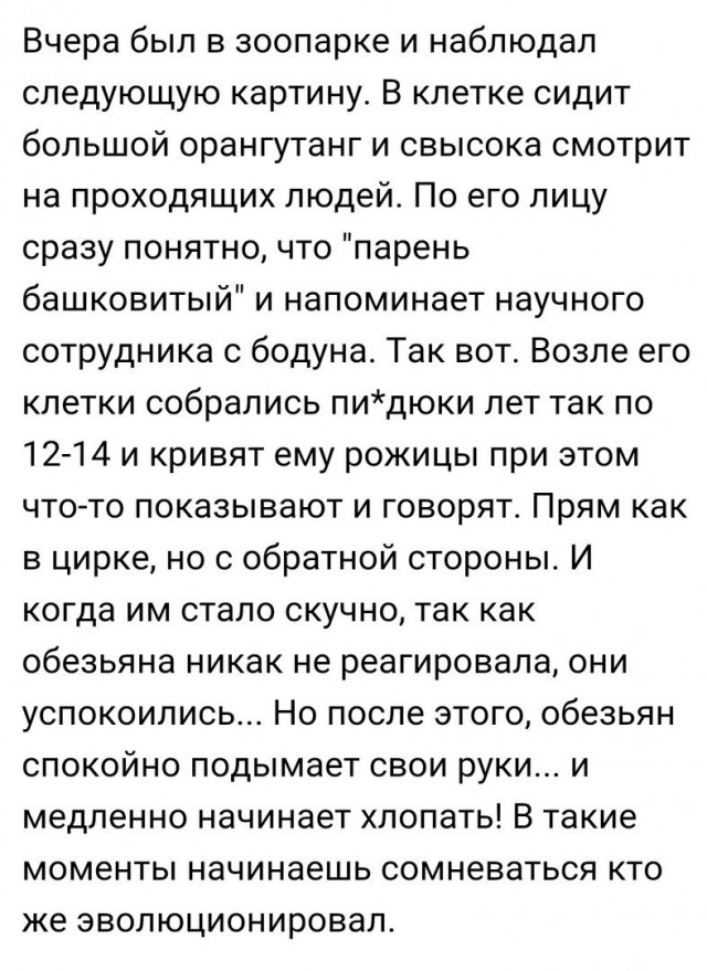 Всё как и всегда в точку...