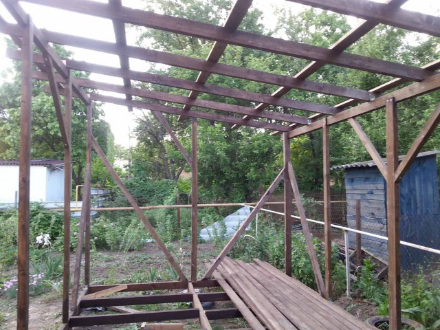 Карьера беженца, который смог.