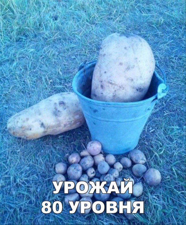Подборка интересных и веселых картинок