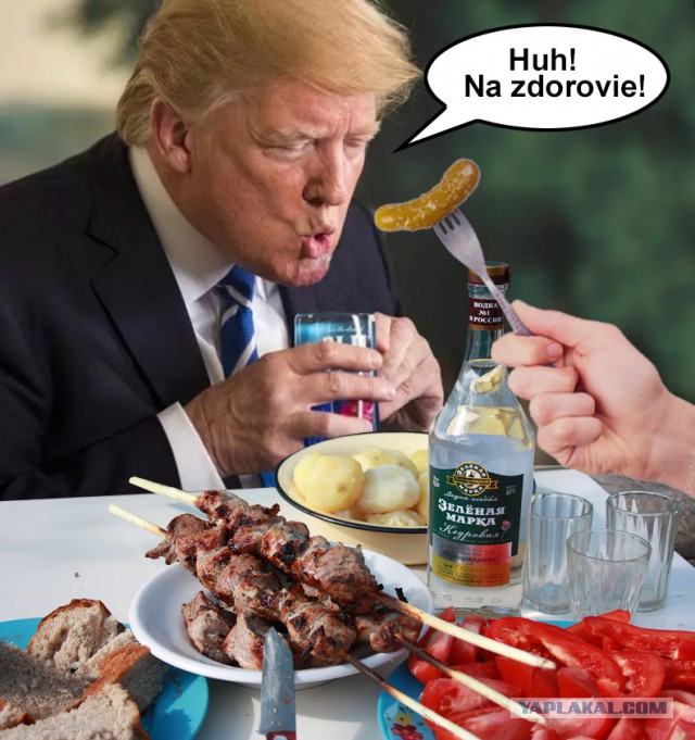 Свежая подпорка жаб на Трампа
