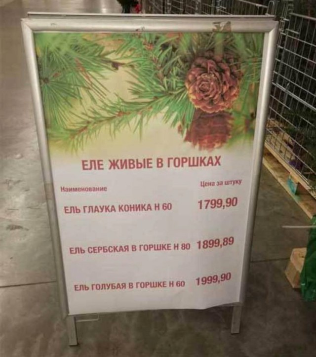 Народные перлы